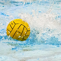 DJW_20131116_PoloBall.jpg