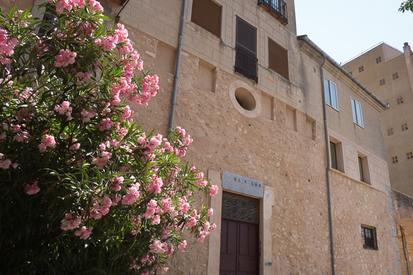 _1030531.jpg _1030531.jpg