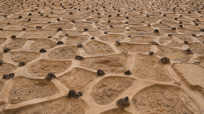 _1030691.jpg _1030691.jpg