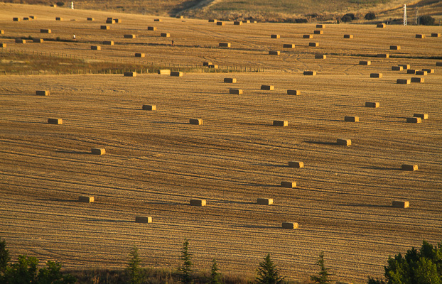 Dinda_Joe_Spain_HayThere.jpg Dinda_Joe_Spain_HayThere.jpg