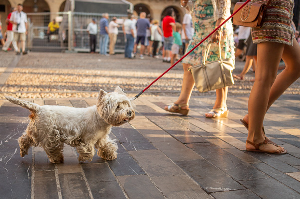 Milhem_Janice_20180804-_B1A7487.jpg Milhem_Janice_20180804-_B1A7487.jpg