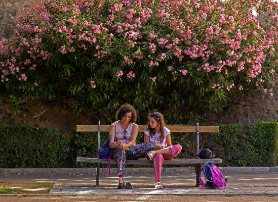 Pardi_Johannes_Spain_Growing.jpg Pardi_Johannes_Spain_Growing.jpg