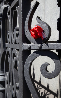 Pardi_Johannes_Spain_UrbanRose.jpg Pardi_Johannes_Spain_UrbanRose.jpg