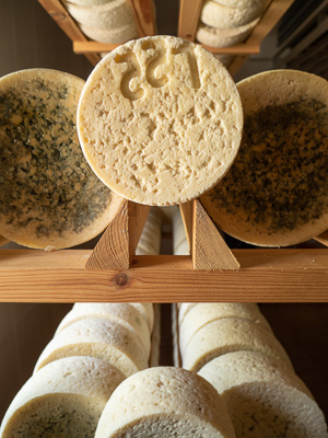 Werthmann_Don_BlueCheeseRack.jpg Werthmann_Don_BlueCheeseRack.jpg