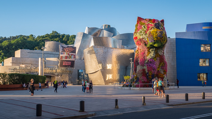 Werthmann_Don_Guggenheim_Bilbao.jpg Werthmann_Don_Guggenheim_Bilbao.jpg